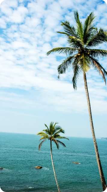 Goa 536 X 636