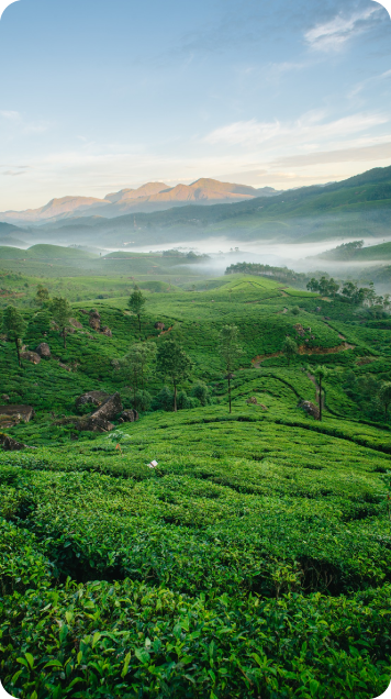 Kerala 536 X 636