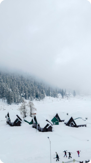 Manali 536 X 636