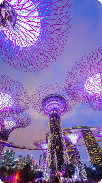 Singapore 536 X 636